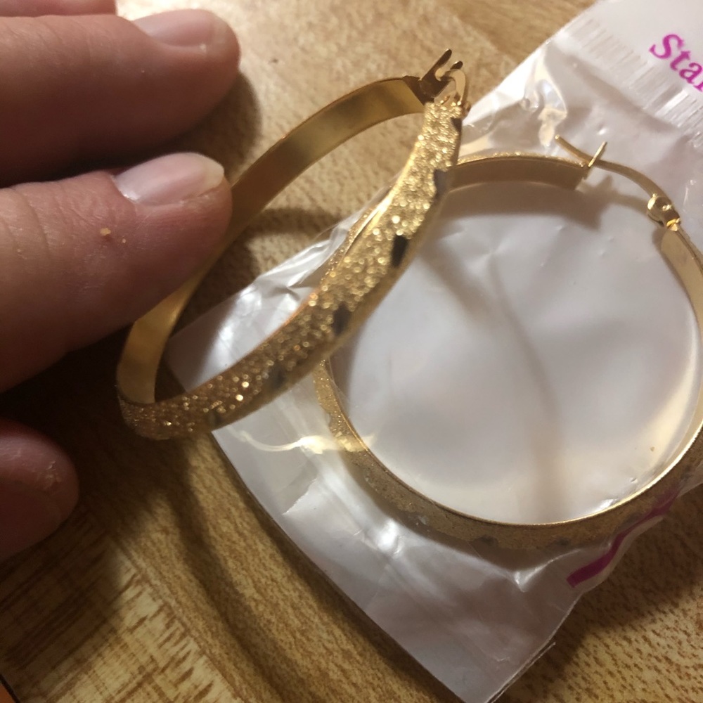 Earrings  NWOT